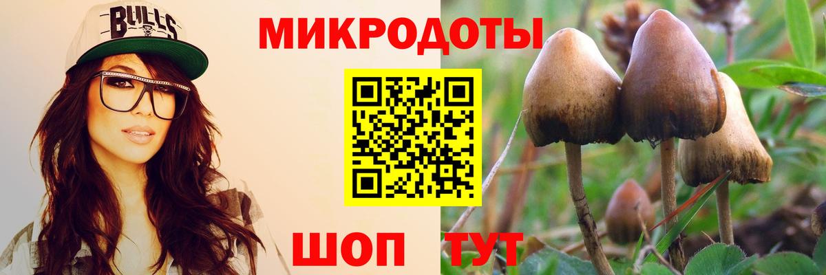 Псилоцибиновые грибы мухоморы  Галлюциногенные грибы Psilocybe  Вход с VPN  где найти наркотики  Знаменск 